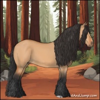 Horse Color:Bay Dun 