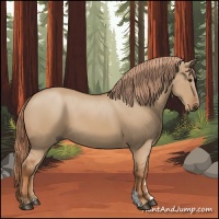 Horse Color:Red Dun 