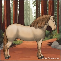 Horse Color:Red Dun 