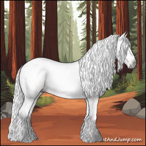 Horse Color:Gray Bay Dun