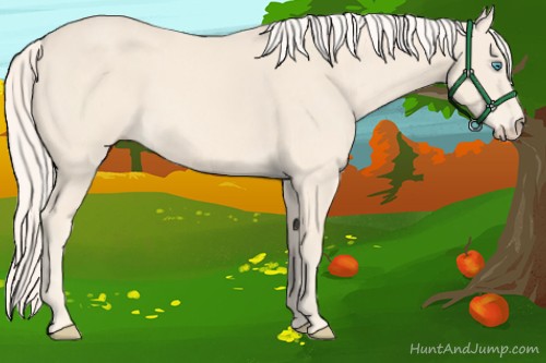 Horse Color:Cremello 