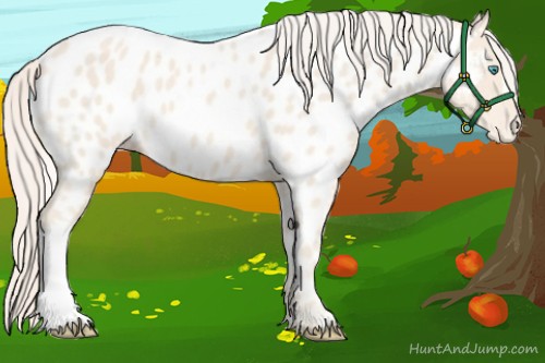 Horse Color:Cremello Near Leopard 