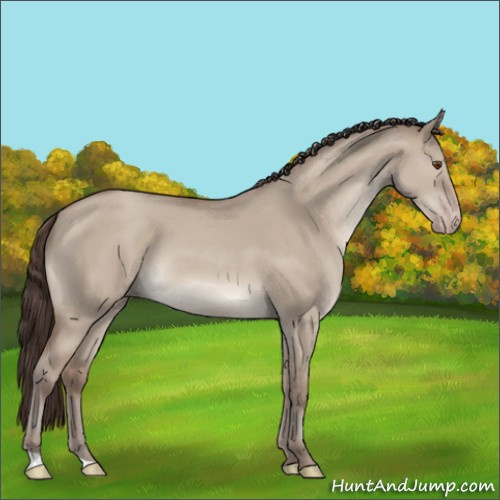 Horse Color:Classic Champagne Dun 