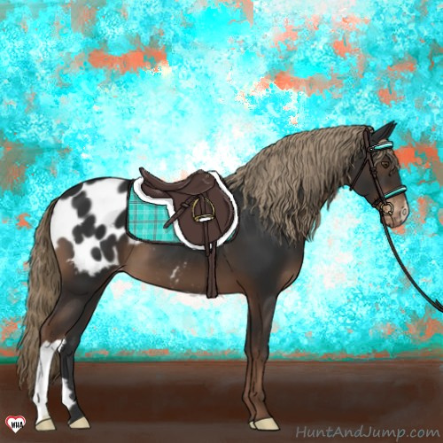 Horse Color:Liver Chestnut Appaloosa 