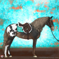 Horse Color:Liver Chestnut Appaloosa 