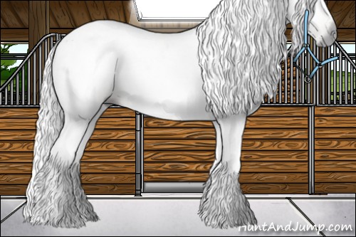 Horse Color:Gray Bay Dun 