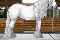 Horse Color:Gray Bay Dun