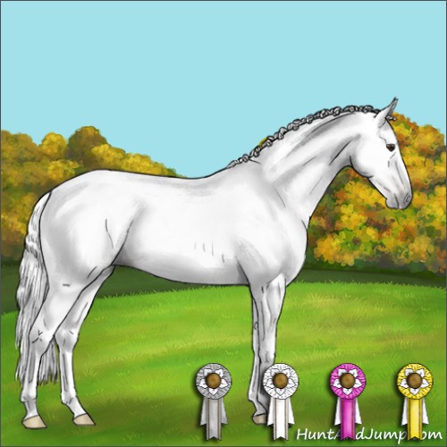 Horse Color:Gray Chestnut 