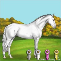 Horse Color:Gray Chestnut 