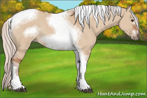 Horse Color:Silver Bay Dun Sabino Tobiano Frame Rabicano 