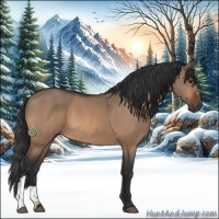 Horse Color:Bay Dun