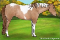 Horse Color:Brown Pearl Tobiano Rabicano