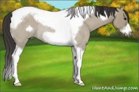 Horse Color:Smoky Grullo Roan Tobiano Frame Rabicano