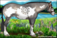 Horse Color:Blue Onyx Roan Frame 