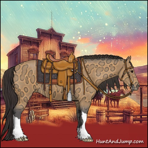 Horse Color:Buckskin Ice 