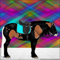 Horse Color:Silver Bay Splash Tobiano 