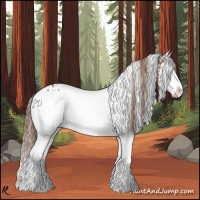 Horse Color:White Spotted Chestnut Splash 