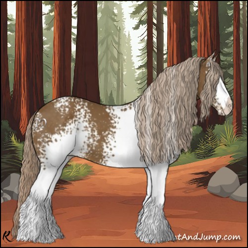 Horse Color:White Spotted Chocolate Palomino