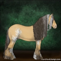 Horse Color:White Spotted Buckskin Dun 