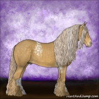 Horse Color:White Spotted Palomino