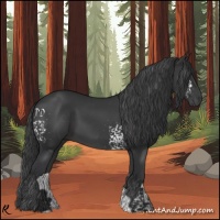 Horse Color:White Spotted Black 