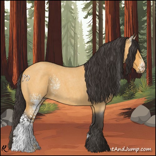 Horse Color:White Spotted Buckskin Roan