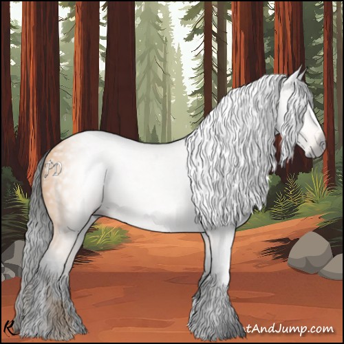 Horse Color:Gray White Spotted Buckskin Roan 