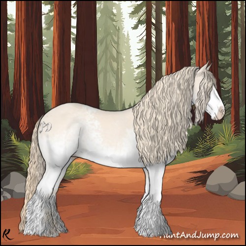 Horse Color:White Spotted Perlino 