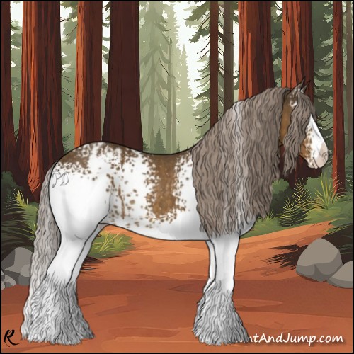 Horse Color:White Spotted Chocolate Palomino Appaloosa Rabicano