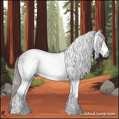 Horse Color:Gray White Spotted Chestnut Sabino 