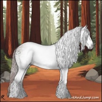 Horse Color:Gray White Spotted Chestnut Sabino 