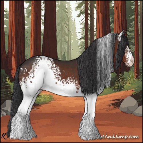 Horse Color:White Spotted Brown 