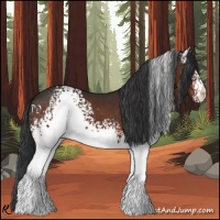 Horse Color:White Spotted Brown