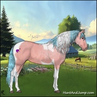 Horse Color:Watercolor Bay Dun Tobiano