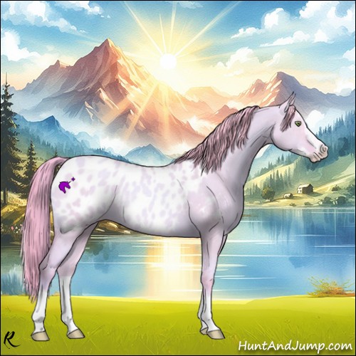 Horse Color:Watercolor Gold Champagne Roan Dun Splash Appaloosa Rabicano 