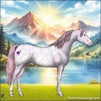 Horse Color:Watercolor Gold Champagne Roan Dun Splash Appaloosa Rabicano 