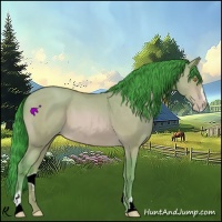 Horse Color:Watercolor Amber Champagne Sabino 