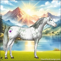 Horse Color:Watercolor White Spotted Chestnut Splash Appaloosa 