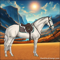 Horse Color:Cremello Roan