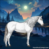 Horse Color:Gray Bay Dun Appaloosa 