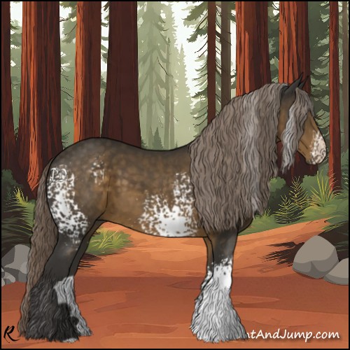 Horse Color:White Spotted Chocolate Palomino