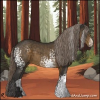 Horse Color:White Spotted Chocolate Palomino 