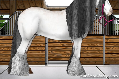 Horse Color:White Spotted Bay 