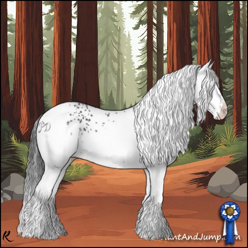 Horse Color:White Spotted Black 