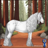 Horse Color:White Spotted Black