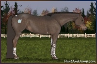 Horse Color:Liver Chestnut Tobiano 