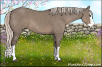 Horse Color:Silver Grullo Sabino Splash