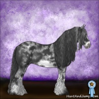 Horse Color:White Spotted Black Frame