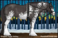 Horse Color:White Spotted Smoky Blue Roan 