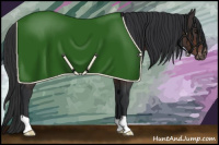 Horse Color:Brown Appaloosa